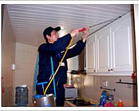 ���ĺ�����������ω������������룩